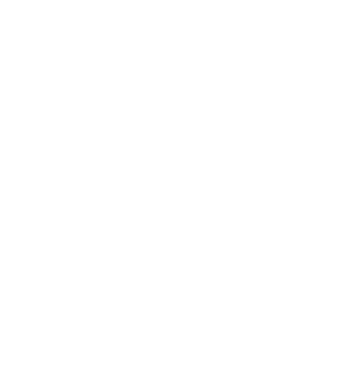 company_logo